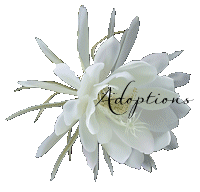 ADOPTIONS